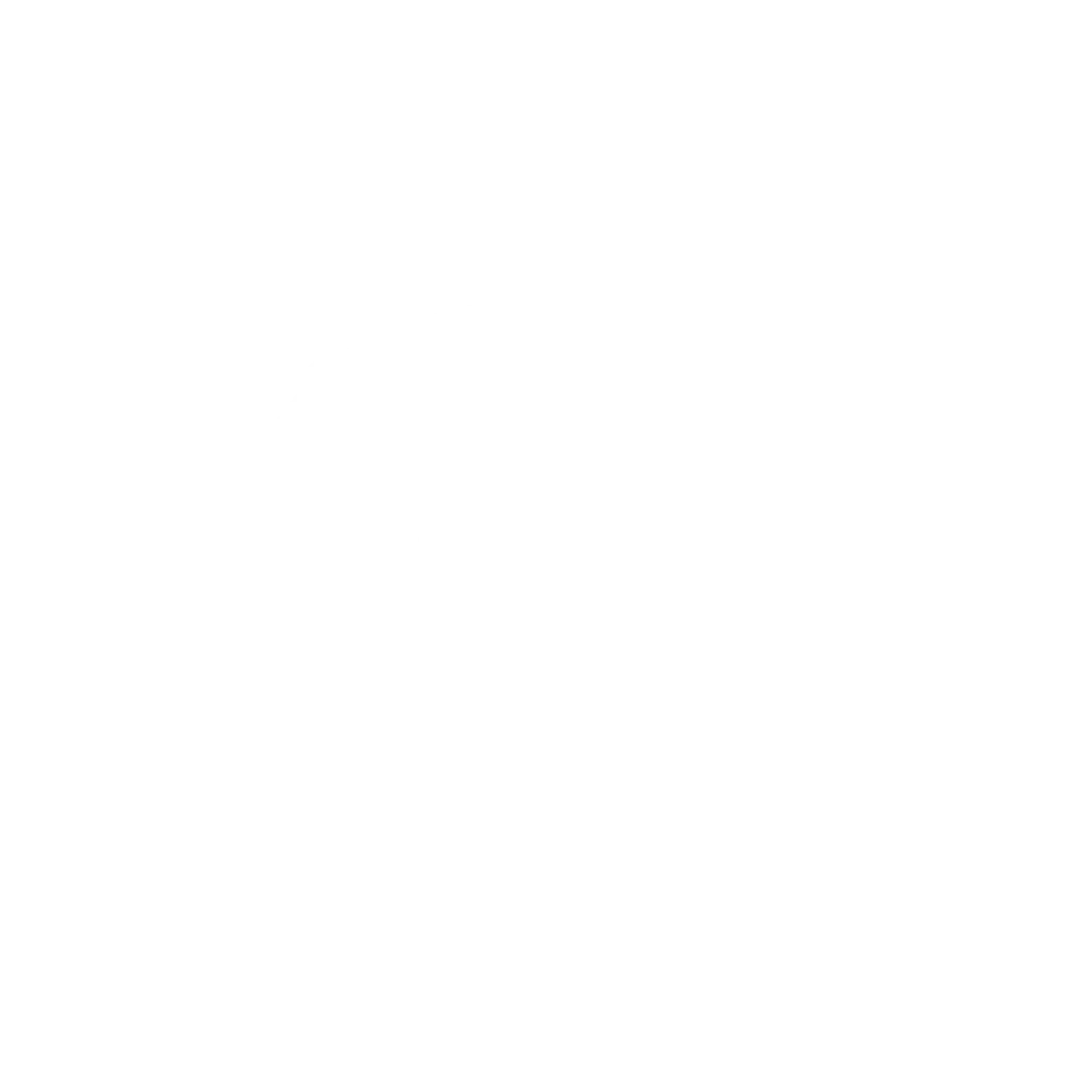 Bradley Smoker