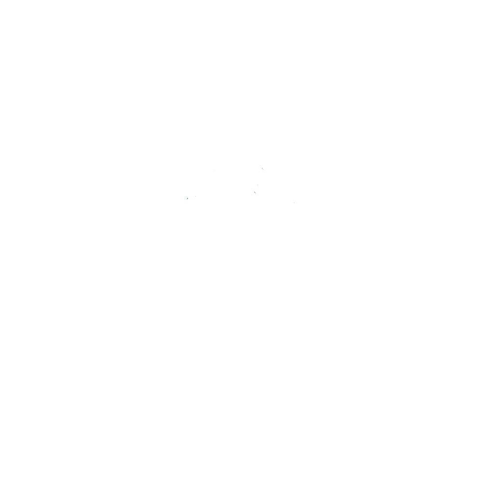 Green Mountain Grills