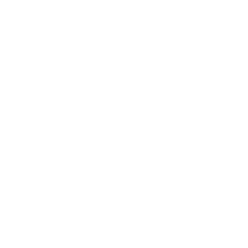 Maytronics Dolphin Logo
